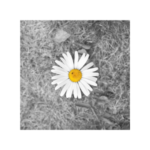 亚洲欧美成aⅴ人在线观看
