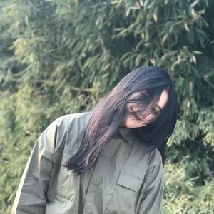 亚洲欧美成aⅴ人在线观看
