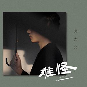 亚洲欧美成aⅴ人在线观看
